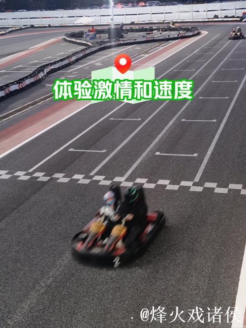 视频揭示拉力赛车手高超驾驶技巧 视频揭示拉力赛车手高超驾驶技巧